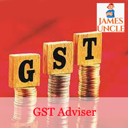 GST advisor Mr. Tanmoy Chaudhury in Bhadrakali